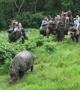 Chitwan Jungle Safari